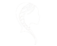 amahari logo white transparent